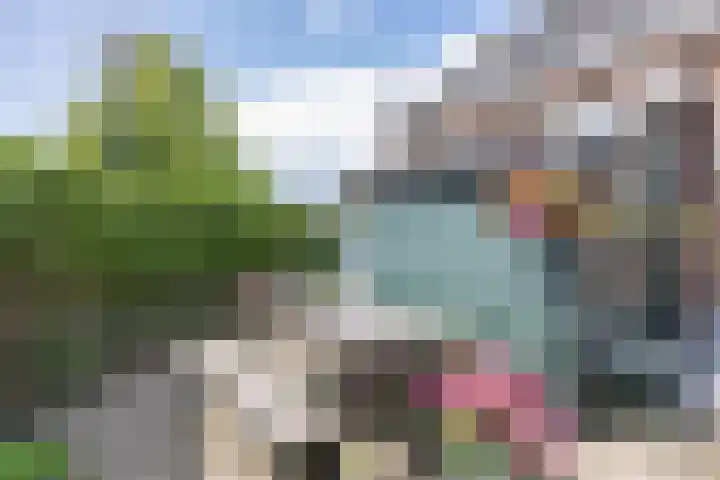 Ald Hiem 7 Wommels thumbnail 21