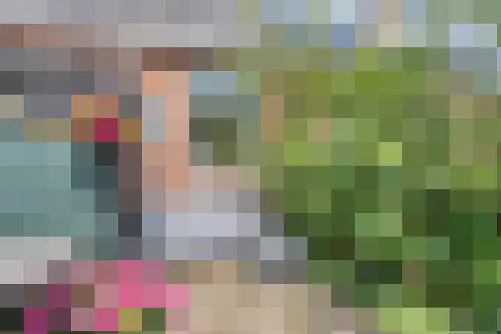 Ald Hiem 7 Wommels thumbnail 22