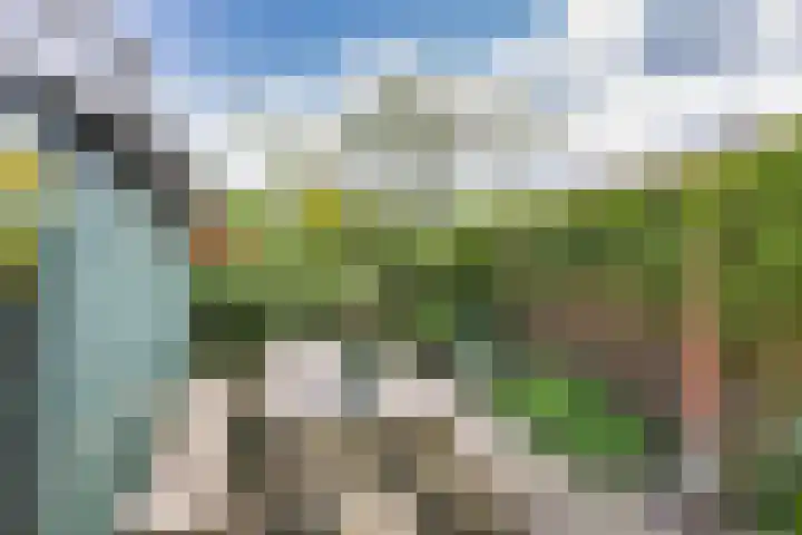 Ald Hiem 7 Wommels thumbnail 23