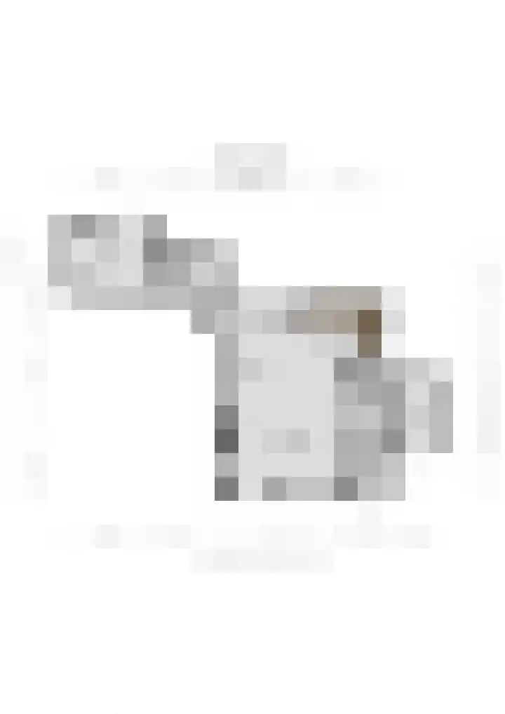 Ald Hiem 7 Wommels thumbnail 29