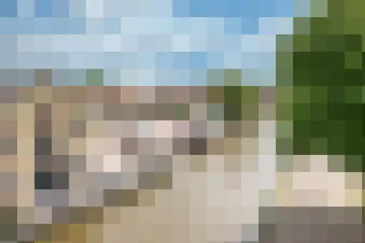 Ald Hiem 7 Wommels thumbnail 4