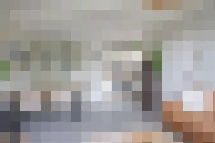 Ald Hiem 7 Wommels thumbnail 7
