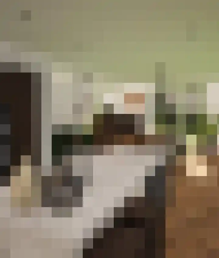 Ald Rien 13 Oosthem thumbnail 6