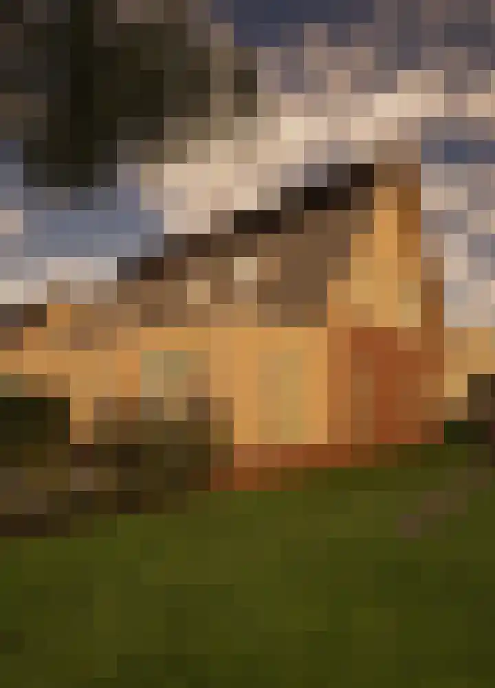 Ald Rien 13 Oosthem thumbnail 9