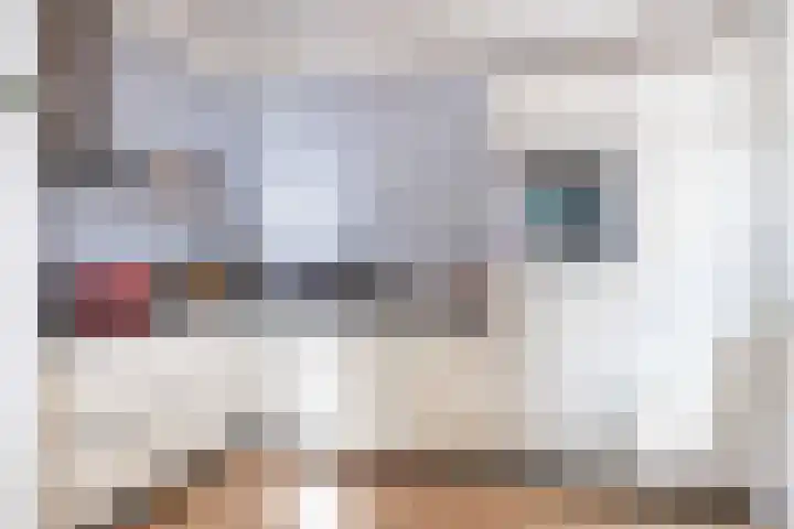 Ald Swettebuorren 3 Aldeboarn thumbnail 14