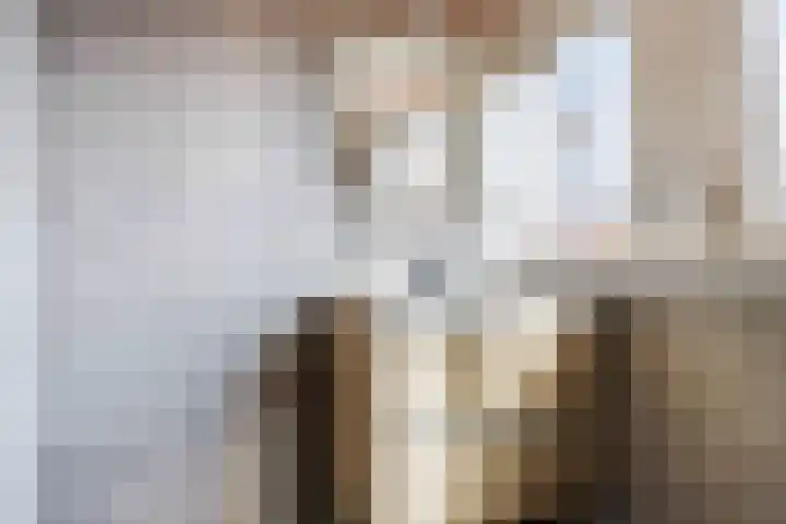 Ald Swettebuorren 3 Aldeboarn thumbnail 23