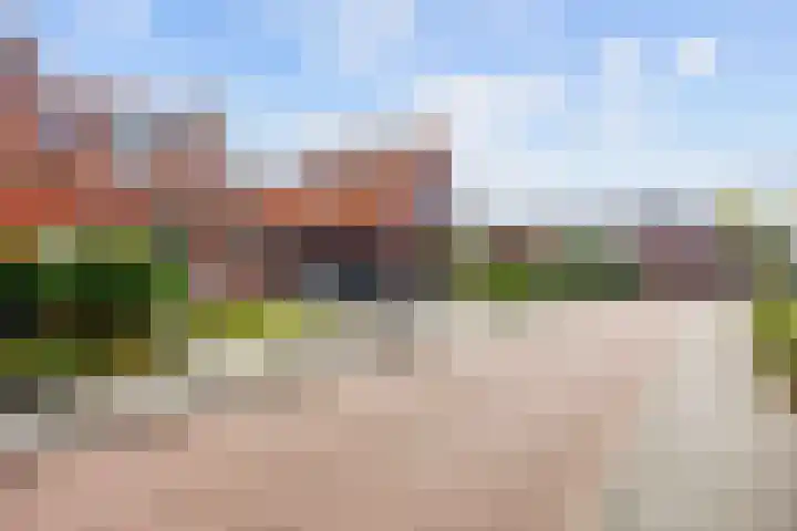 Ald Swettebuorren 3 Aldeboarn thumbnail 35