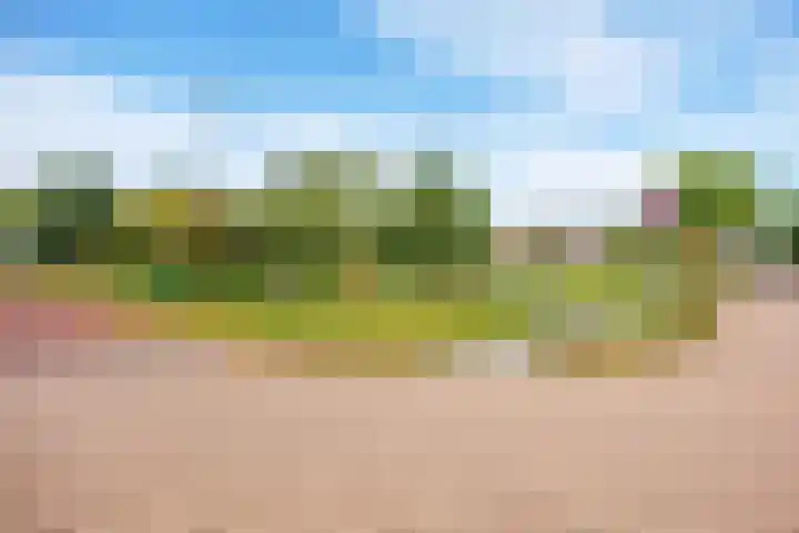 Ald Swettebuorren 3 Aldeboarn thumbnail 36