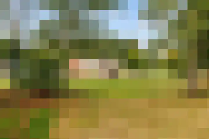 Ald Swettebuorren 3 Aldeboarn thumbnail 37