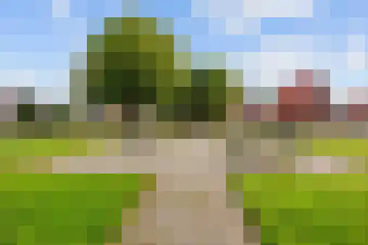 Ald Swettebuorren 3 Aldeboarn thumbnail 38