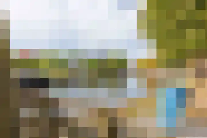 Ald Swettebuorren 3 Aldeboarn thumbnail 39