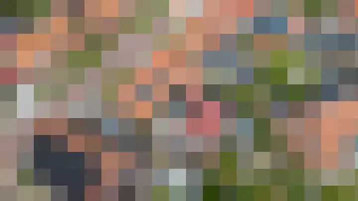 Ald Swettebuorren 3 Aldeboarn thumbnail 40
