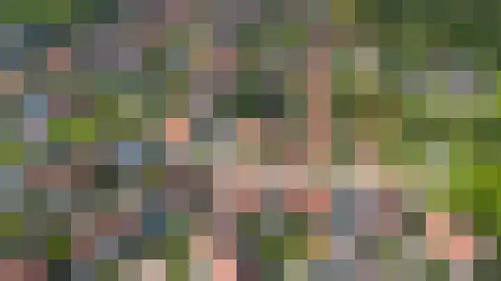 Ald Swettebuorren 3 Aldeboarn thumbnail 44