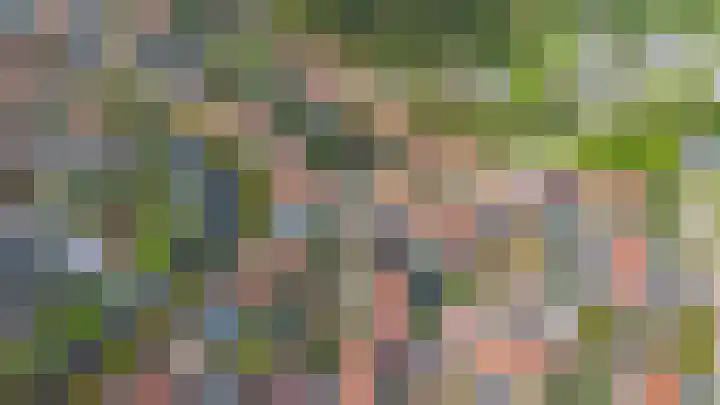 Ald Swettebuorren 3 Aldeboarn thumbnail 45