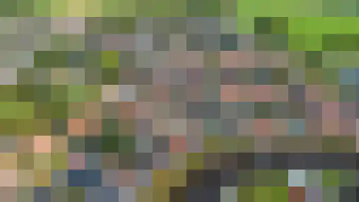Ald Swettebuorren 3 Aldeboarn thumbnail 46