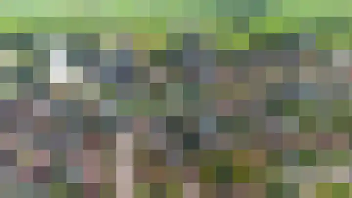 Ald Swettebuorren 3 Aldeboarn thumbnail 47