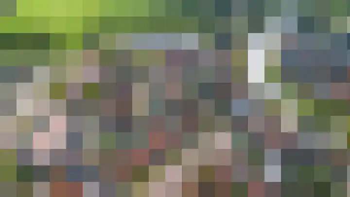 Ald Swettebuorren 3 Aldeboarn thumbnail 48