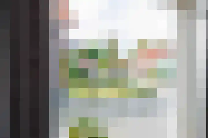 Ald Swettebuorren 3 Aldeboarn thumbnail 8