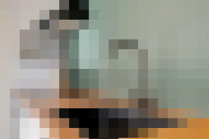 Ald Swettebuorren 7 Aldeboarn thumbnail 11