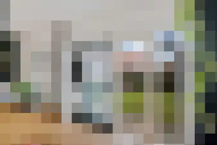 Ald Swettebuorren 7 Aldeboarn thumbnail 22