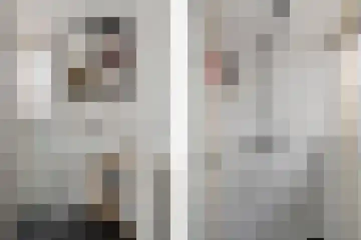 Ald Swettebuorren 7 Aldeboarn thumbnail 24