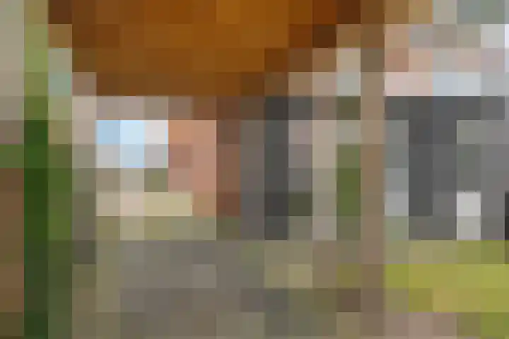 Ald Swettebuorren 7 Aldeboarn thumbnail 30