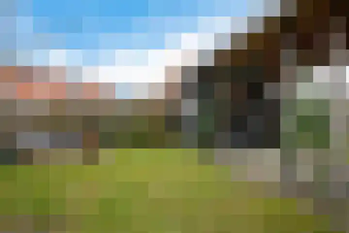 Ald Swettebuorren 7 Aldeboarn thumbnail 31