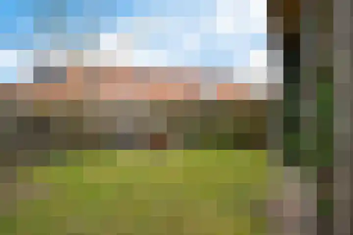 Ald Swettebuorren 7 Aldeboarn thumbnail 32