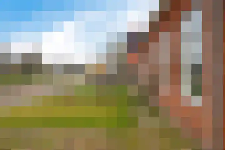 Ald Swettebuorren 7 Aldeboarn thumbnail 38