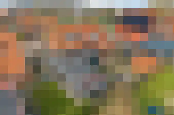 Ald Swettebuorren 7 Aldeboarn thumbnail 42