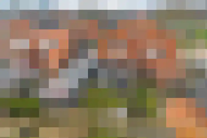 Ald Swettebuorren 7 Aldeboarn thumbnail 43