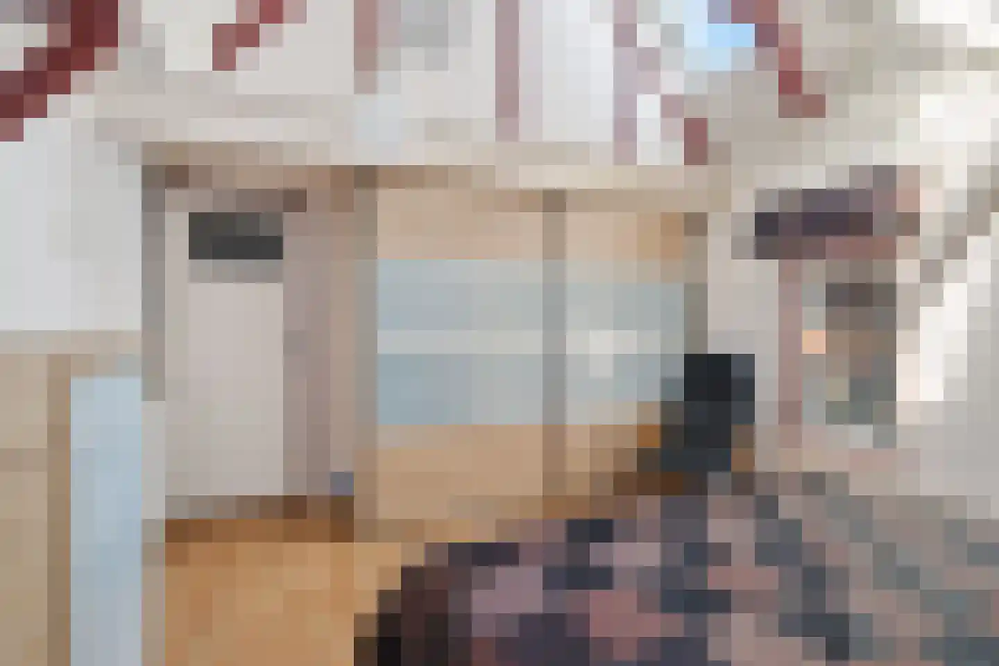 Ald Tún 18 Easternijtsjerk thumbnail 12