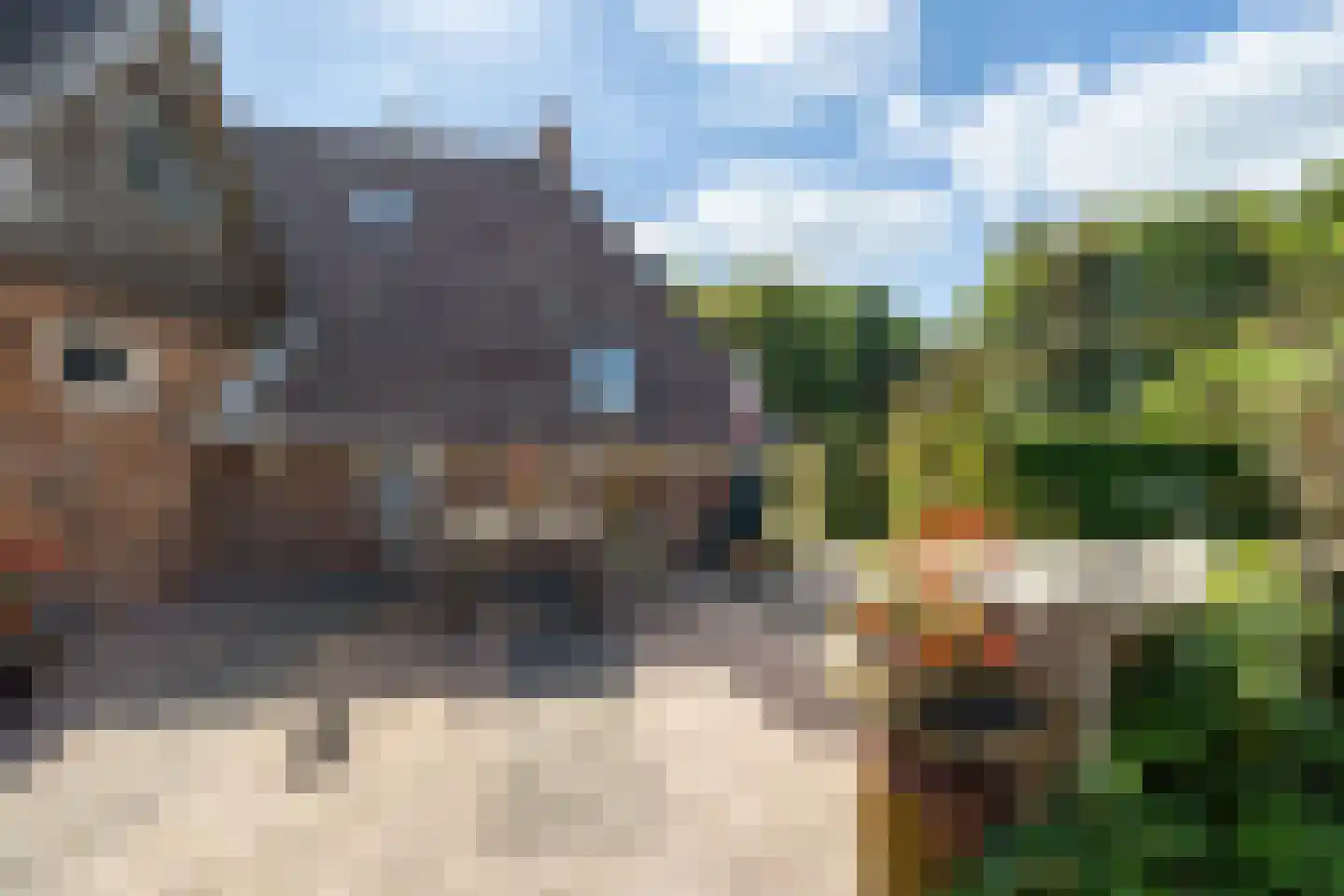 Ald Tún 18 Easternijtsjerk thumbnail 21