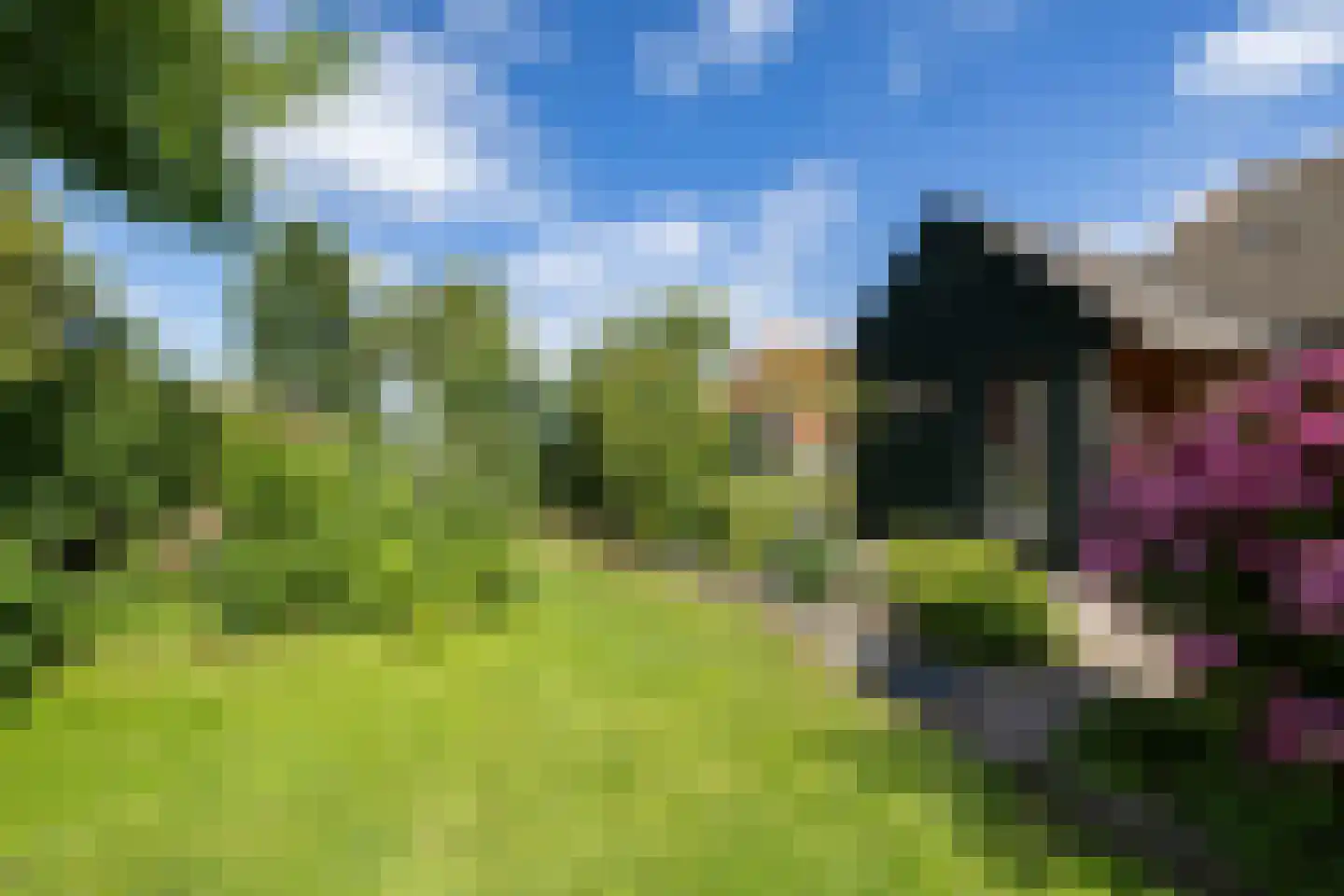 Ald Tún 18 Easternijtsjerk thumbnail 23