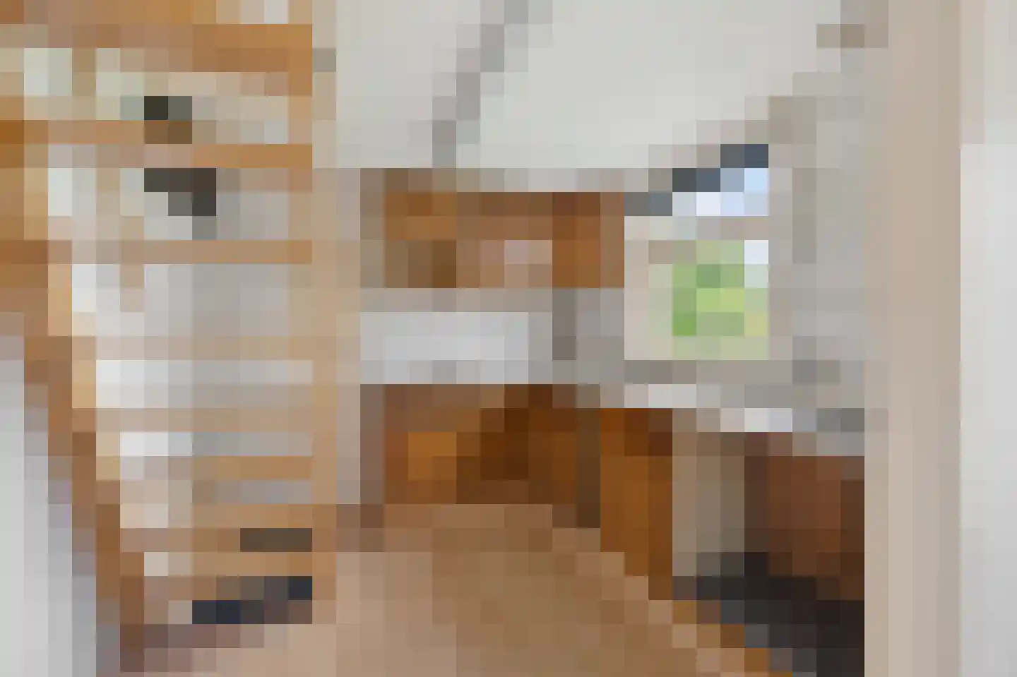 Ald Tún 18 Easternijtsjerk thumbnail 25