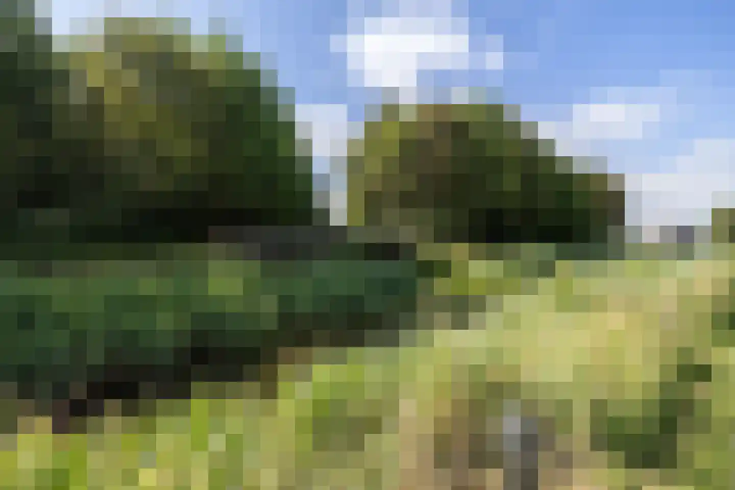 Ald Tún 18 Easternijtsjerk thumbnail 36