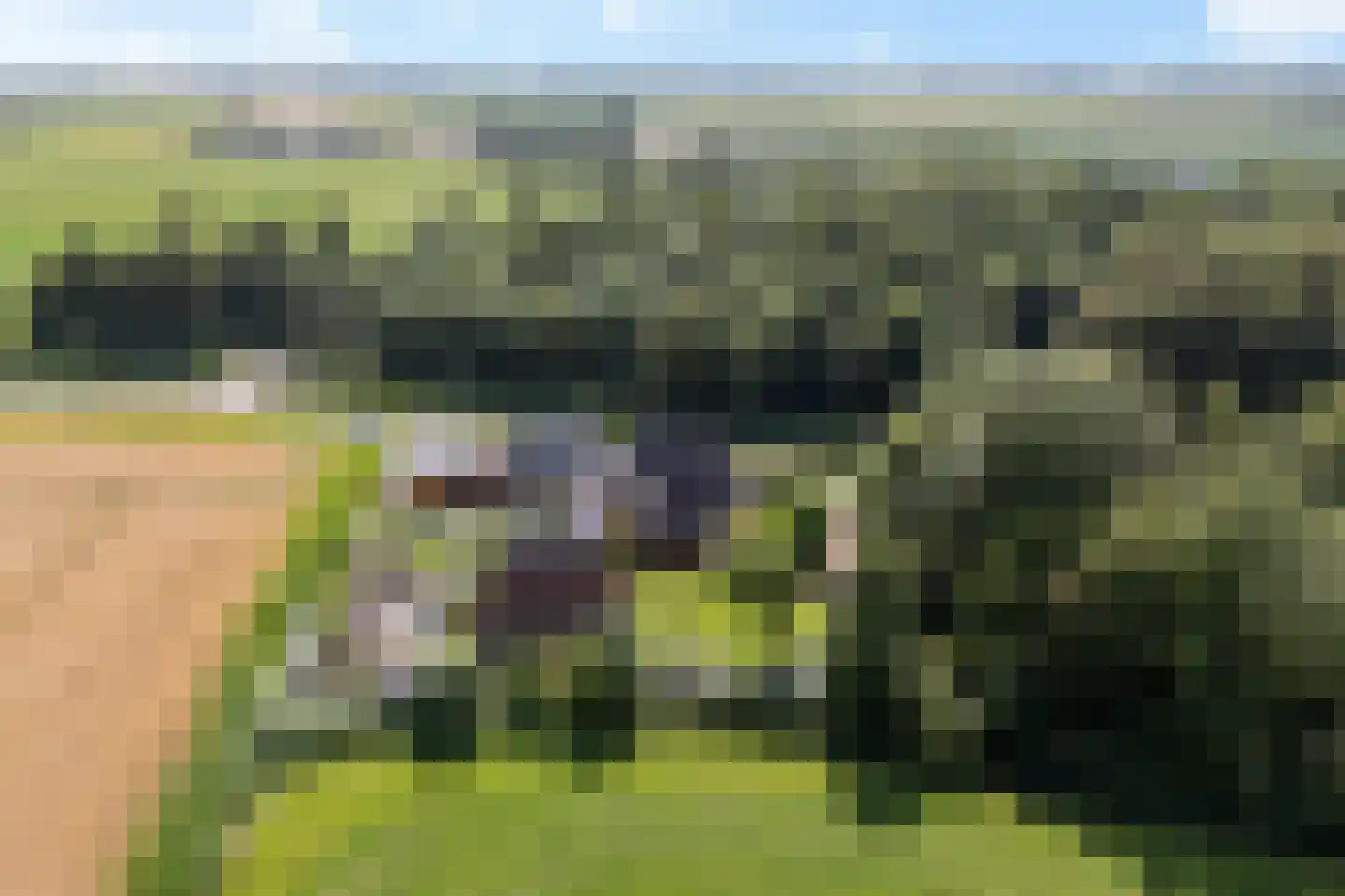 Ald Tún 18 Easternijtsjerk thumbnail 37