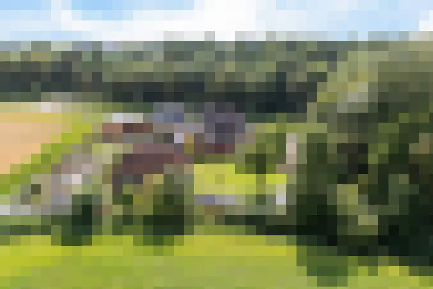 Ald Tún 18 Easternijtsjerk thumbnail 4