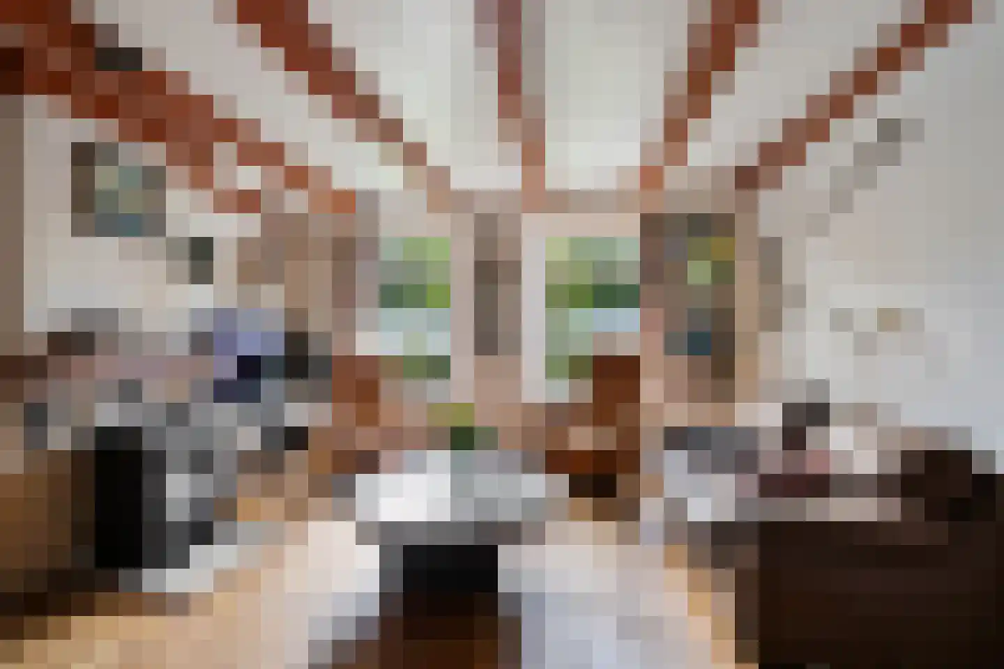 Ald Tún 18 Easternijtsjerk thumbnail 5