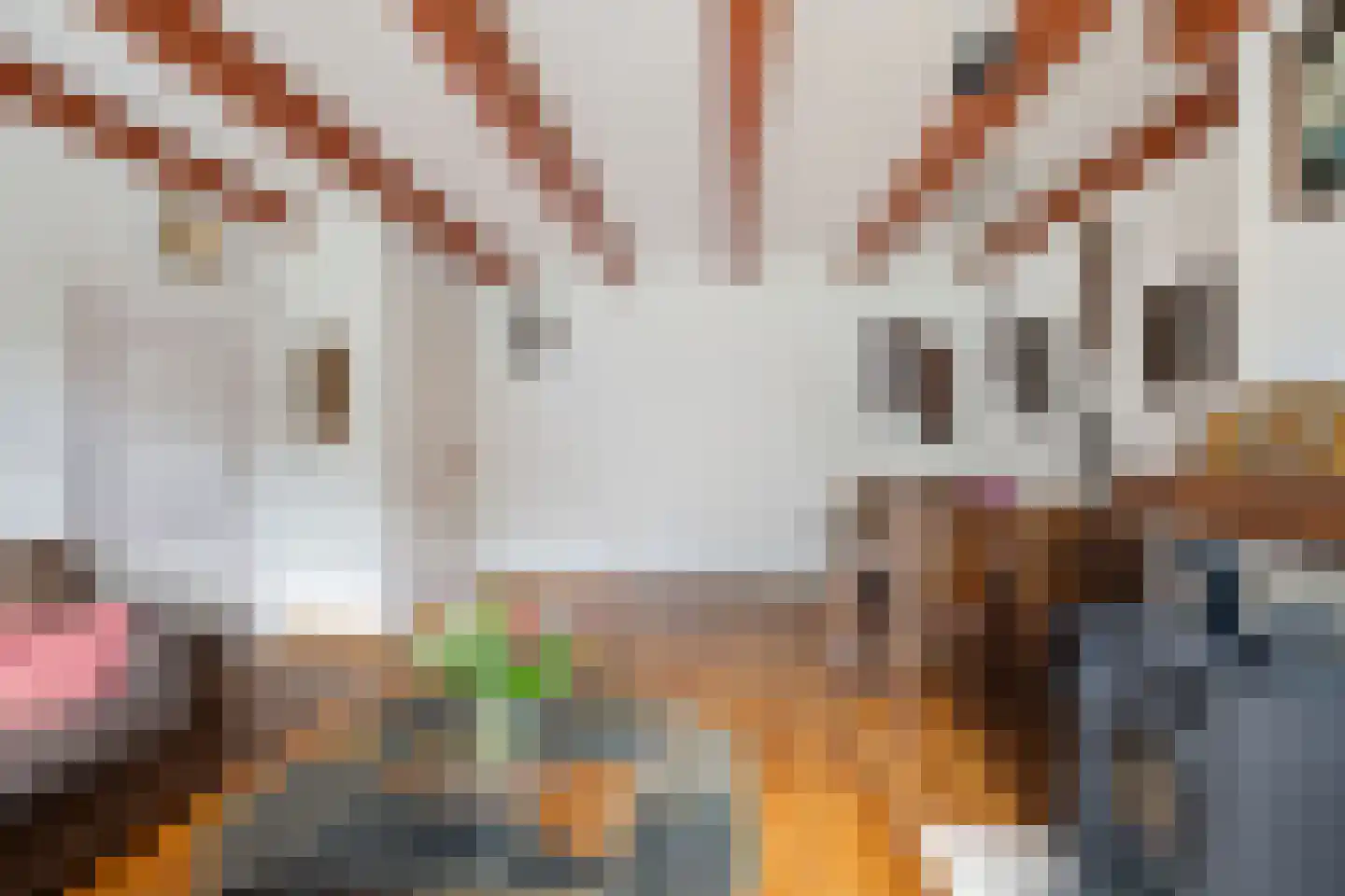 Ald Tún 18 Easternijtsjerk thumbnail 6