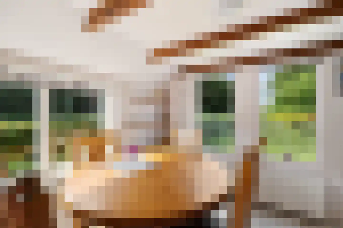 Ald Tún 18 Easternijtsjerk thumbnail 8