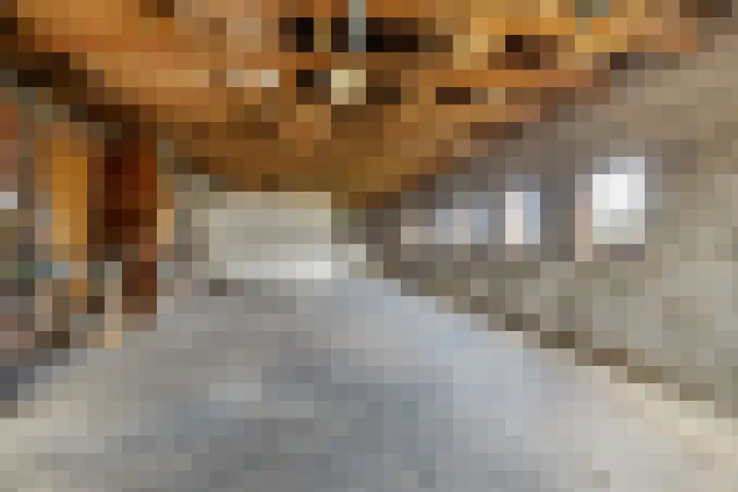 Ald Tún 8 Easternijtsjerk thumbnail 20