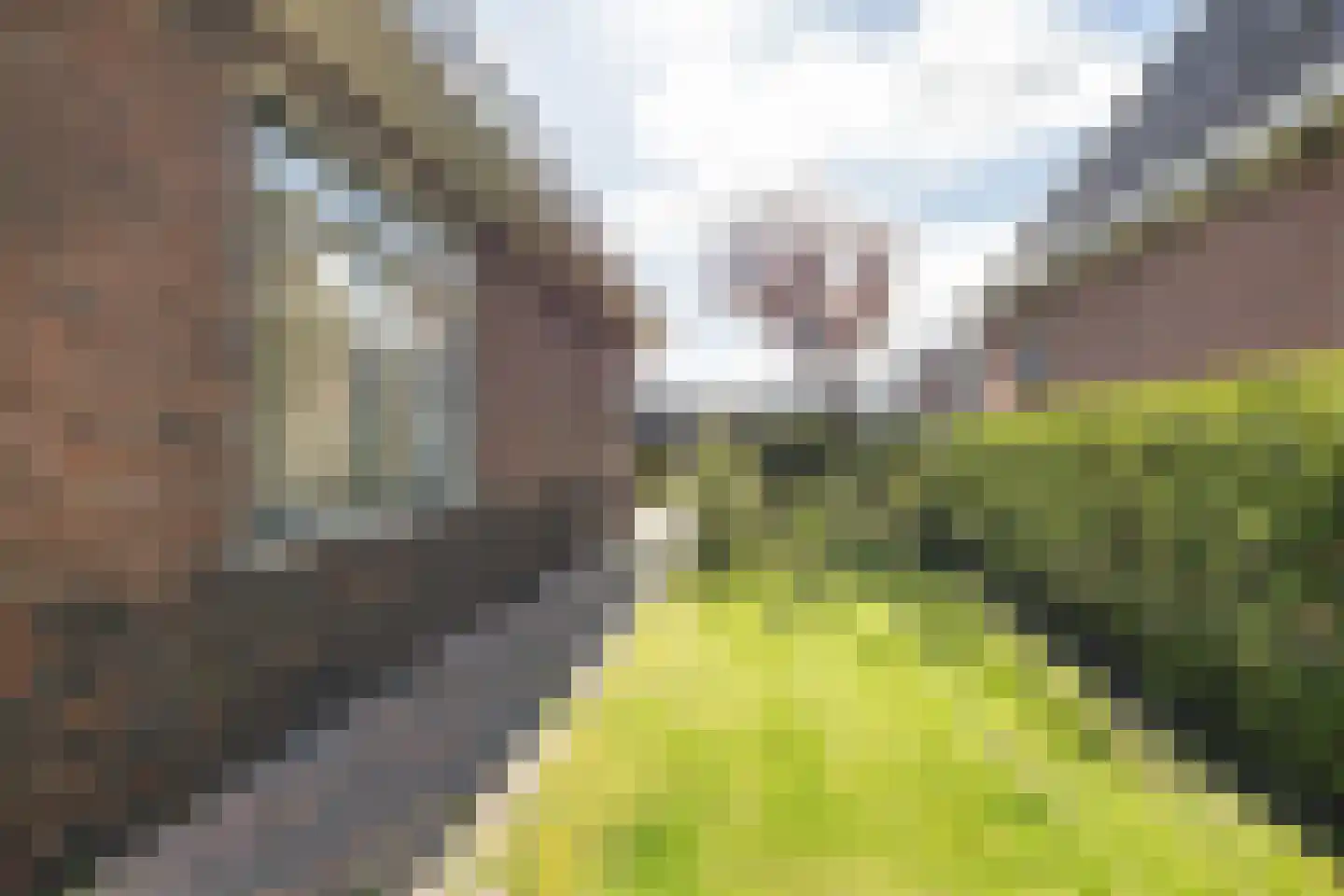 Ald Tún 8 Easternijtsjerk thumbnail 30
