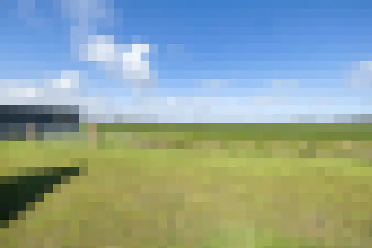 Ald Tún 8 Easternijtsjerk thumbnail 33
