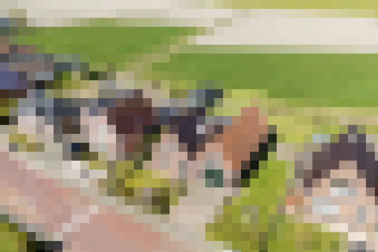 Ald Tún 8 Easternijtsjerk thumbnail 36