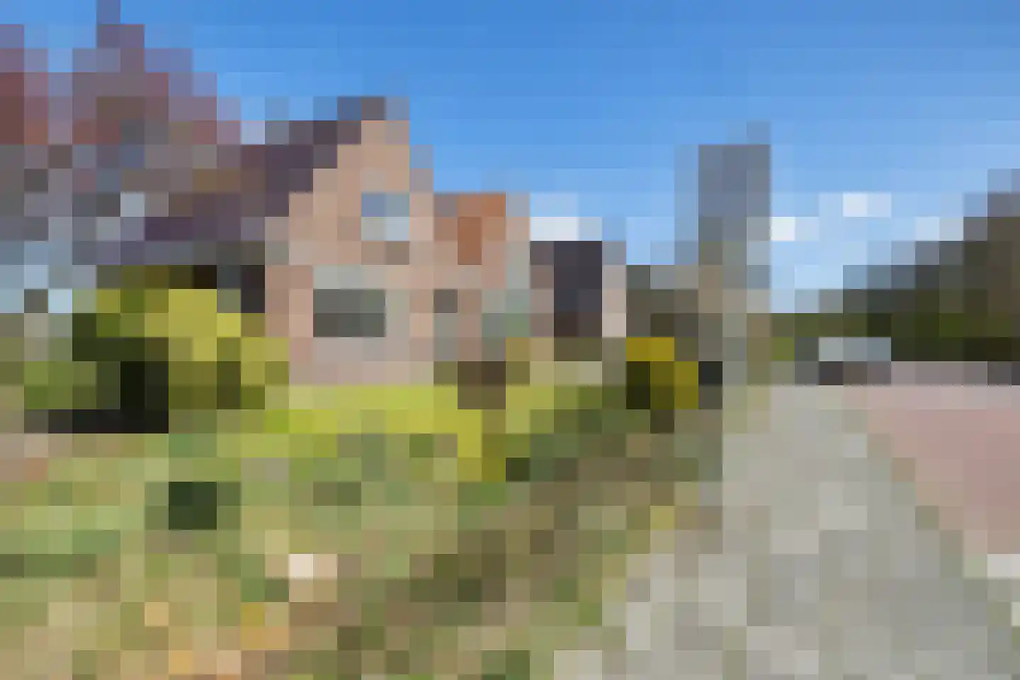 Ald Tún 8 Easternijtsjerk thumbnail 5