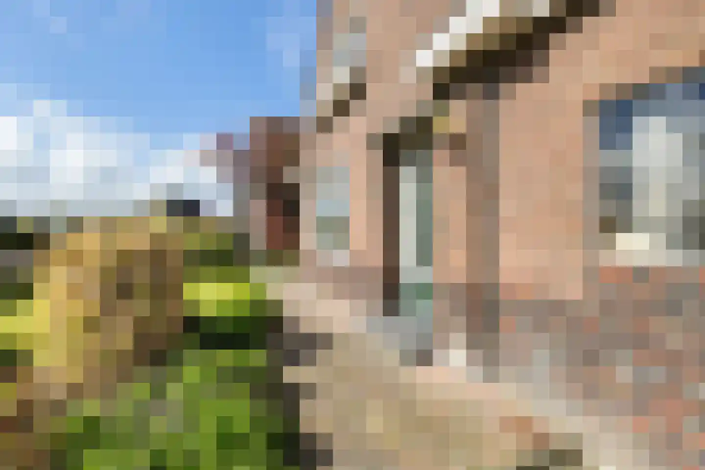 Ald Tún 8 Easternijtsjerk thumbnail 7