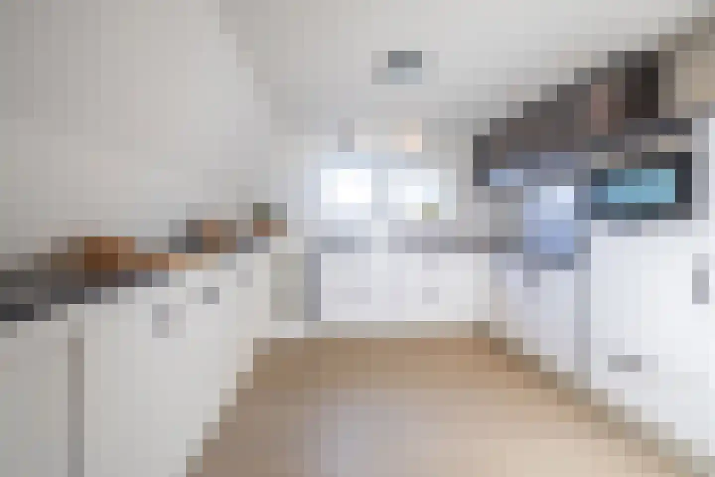 Aldbuorren 5 A Ternaard thumbnail 24