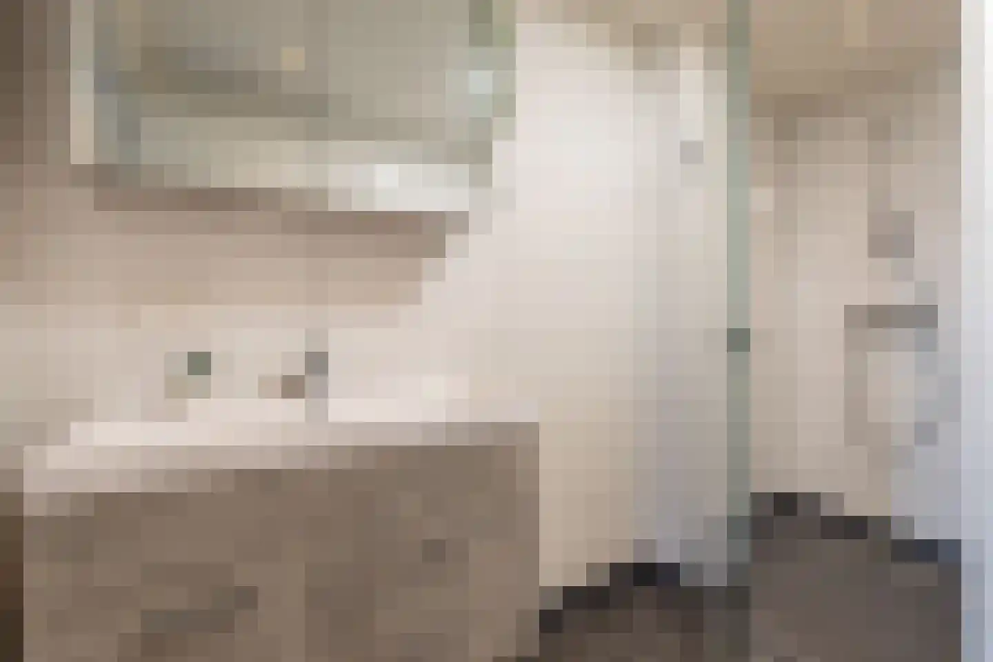 Aldbuorren 5 A Ternaard thumbnail 34