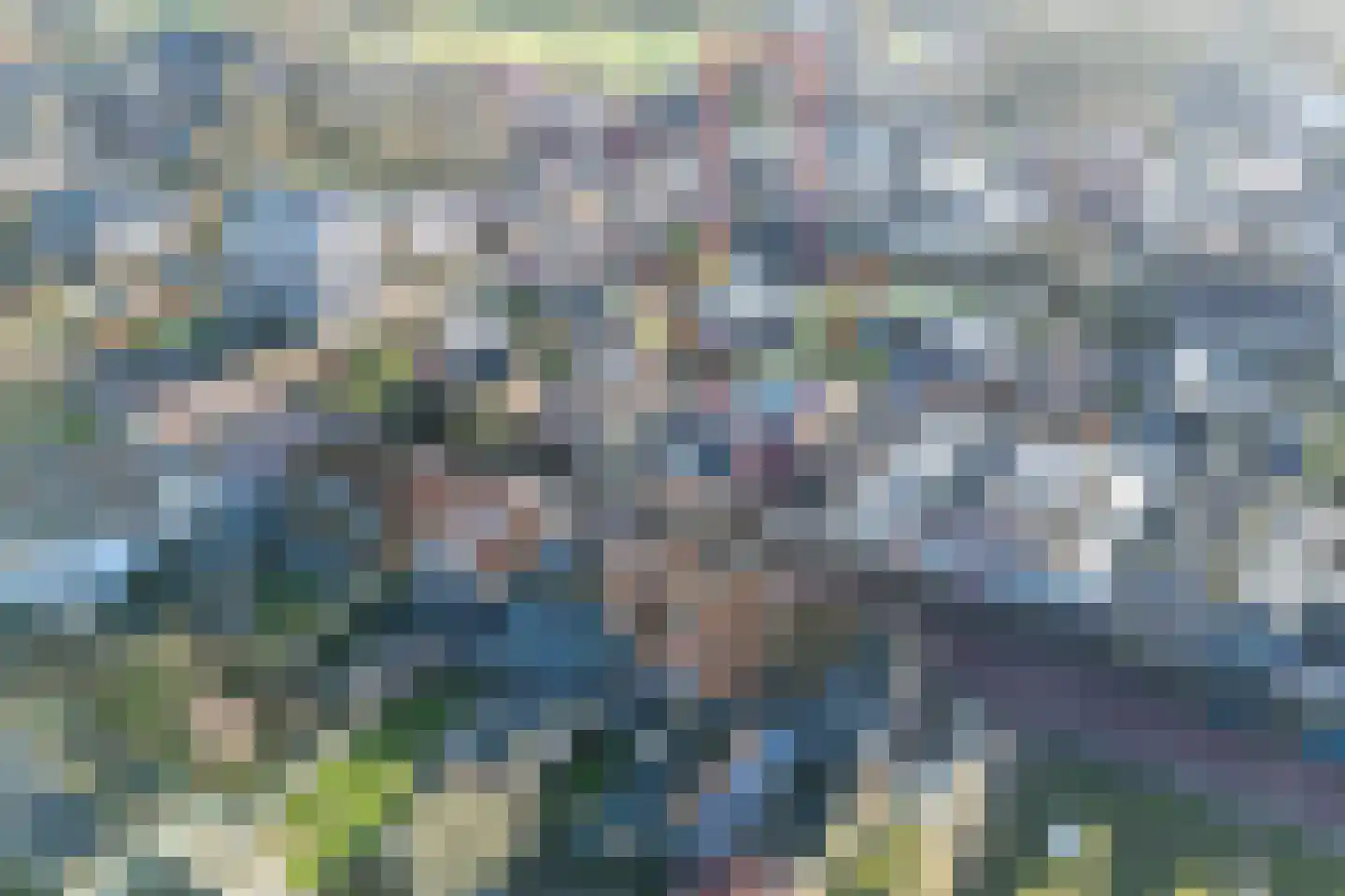 Aldbuorren 5 A Ternaard thumbnail 6